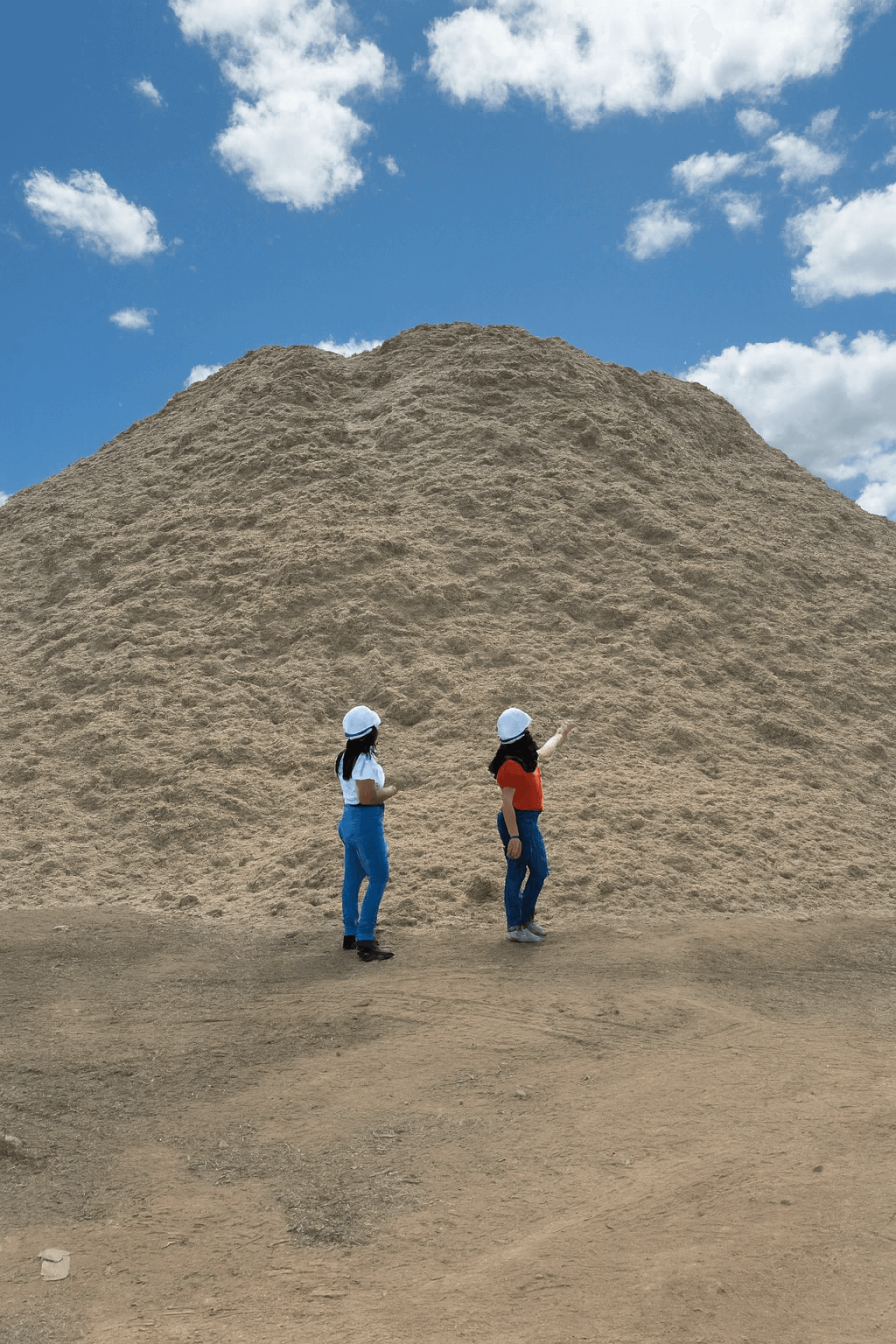 Equipe InPyro em campo