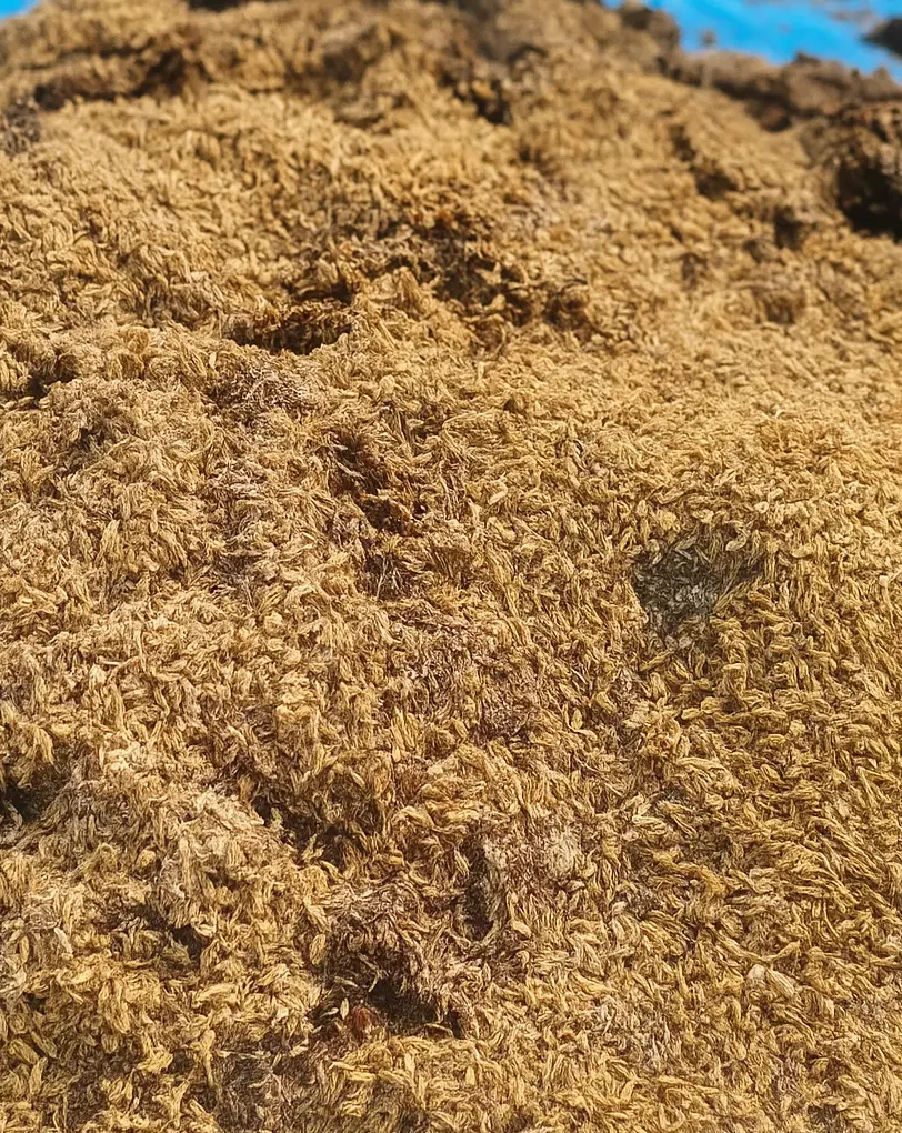 Other Similar Wastes