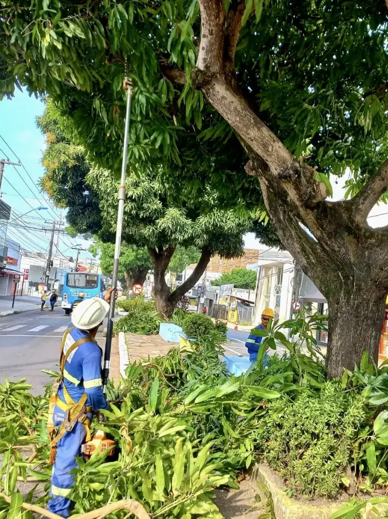 Prunings and Plant Residues